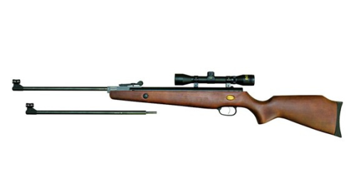 Beeman 1073GP.jpg