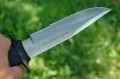 muela-scorpion-18w III.jpg