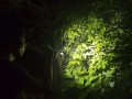latarka-diodowa-fenix-uc30-2017-99960922df8f428abc2.jpg