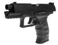 ppQ II.jpg